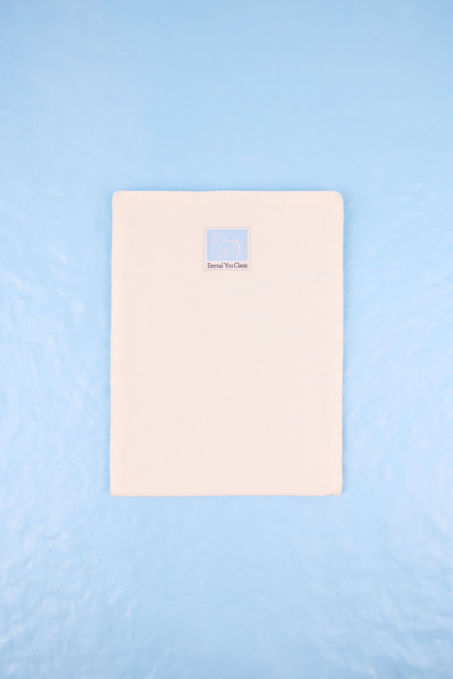 ENY FELL INTO A DREAM BOOK POUCH