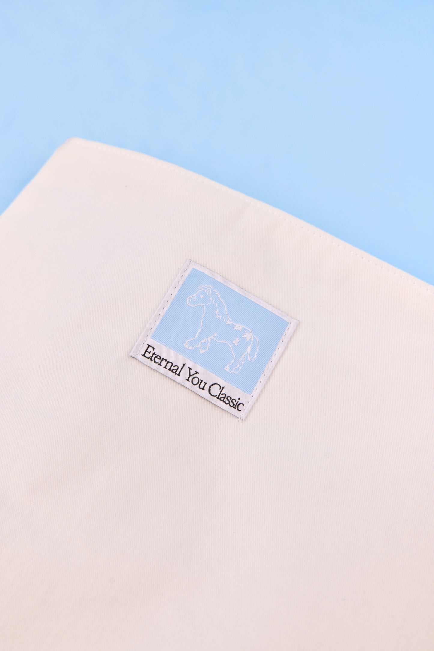 ENY FELL INTO A DREAM BOOK POUCH