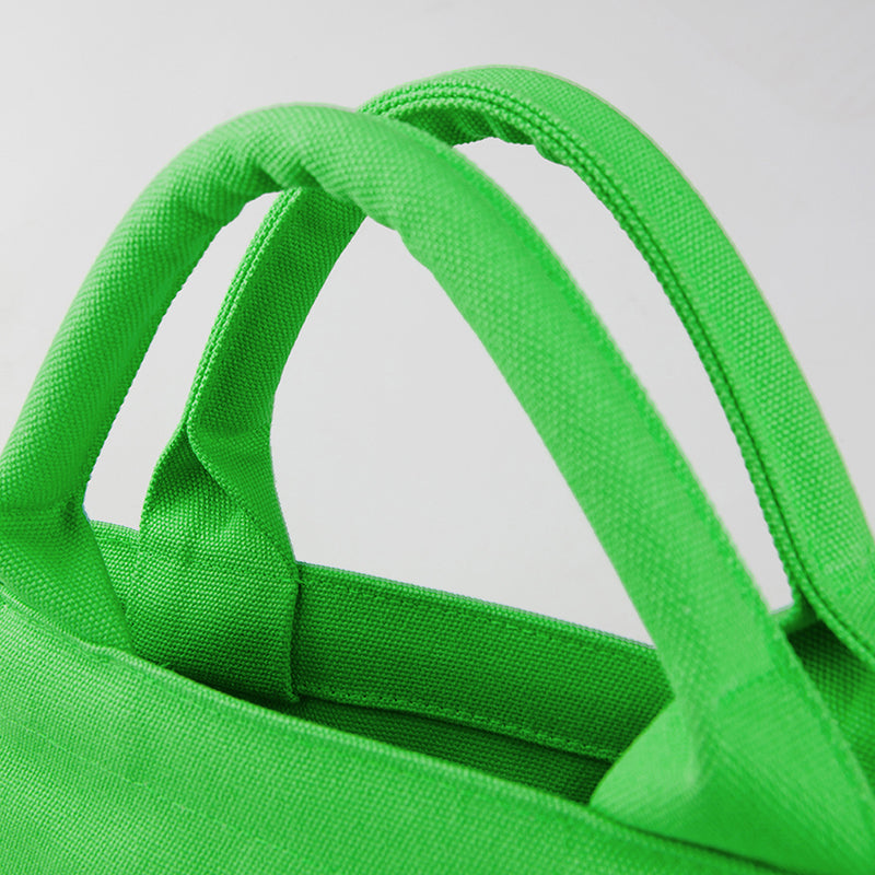 [REFURB] AMIGA BAG (MELON) C